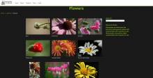 Screenshot of the Photography on Wheels flowers gallery